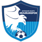 Büyükşehir Belediye Erzurumspor