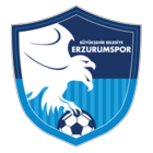 Büyükşehir Belediye Erzurumspor