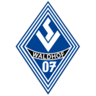 SV Waldhof Mannheim