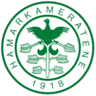 HamKam Fotball