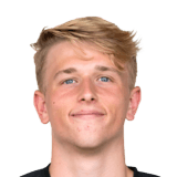 Lukas Schöfl FIFA 20 Non Rare Bronze