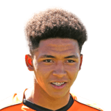 Pablo Cárdenas FIFA 20 Non Rare Bronze