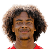 ZIRKZEE FIFA 20 Rare Bronze