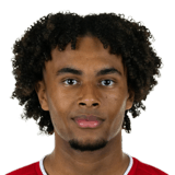 ZIRKZEE FIFA 21 Rare Silver