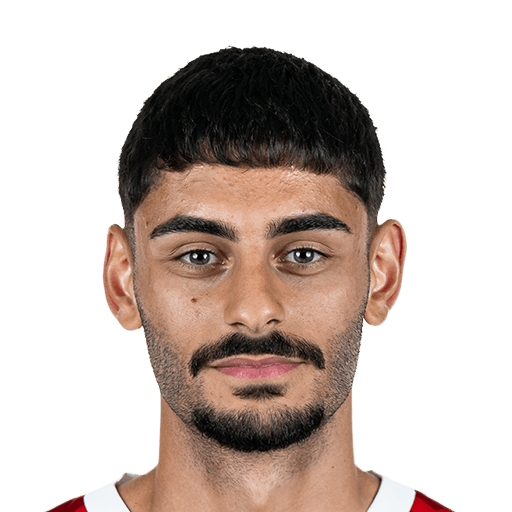 Dinkçi FIFA 25 Winter Wildcard