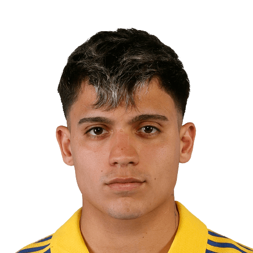 Zeballos FIFA 25 Non Rare Silver