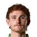Josh Sargent FC 27 Rare Silver