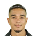 Lenny Vallier FC 27 Rare Silver