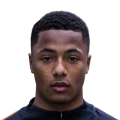 Hoogewerf FC 27 Rare Bronze