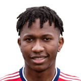 Ngwenya FC 27 Rare Bronze