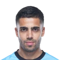 Singh FC 27 Rare Bronze