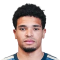 Nathan Harriel FC 27 Rare Silver
