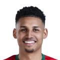 Felippe Cardoso dos Santos FC 27 Rare Silver