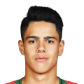 Tiago Miguel Hora Ribeiro FC 27 Rare Bronze