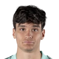 Giovanni Garofani FC 27 Rare Bronze