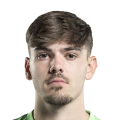 Annell FC 27 Rare Bronze