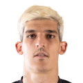 Slobodan Rubežić FC 27 Rare Silver
