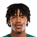 Fallatah FC 27 Rare Bronze