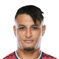 Alaeddine Ajaraie FC 27 Rare Silver
