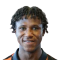 Dermane Karim FC 27 Rare Silver