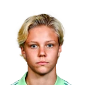 Andersson FC 27 Rare Bronze