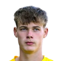 Lysionok FC 27 Rare Bronze