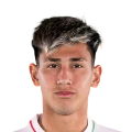 Domínguez FC 27 Rare Bronze