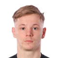 Gustafsson FC 27 Rare Bronze